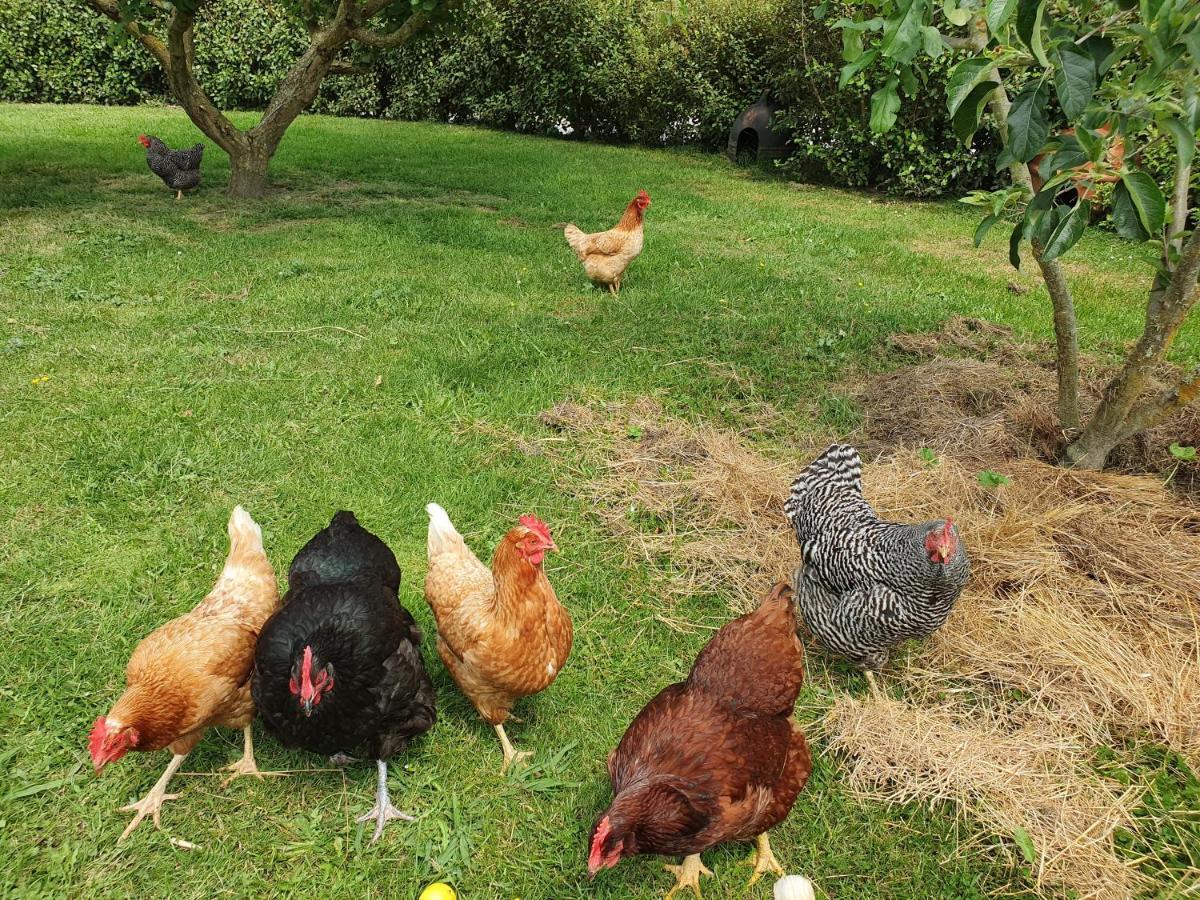 Supplejack Gardens Upper Moutere Exterior foto